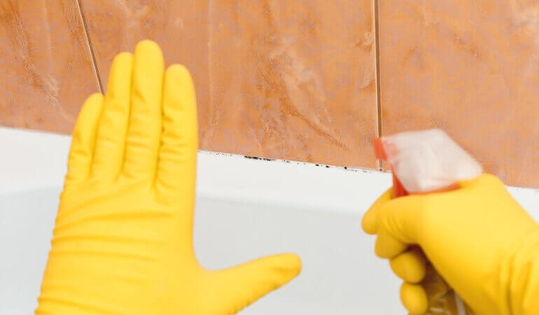 How to remove and prevent mould and mildew from walls
